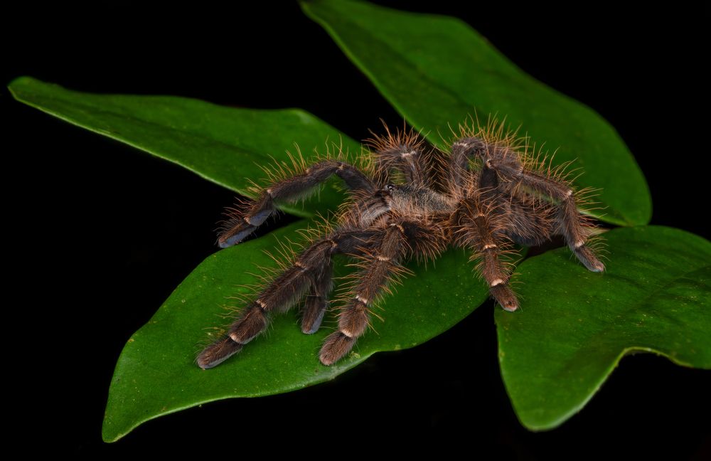 Photograph by Milena Drljaca