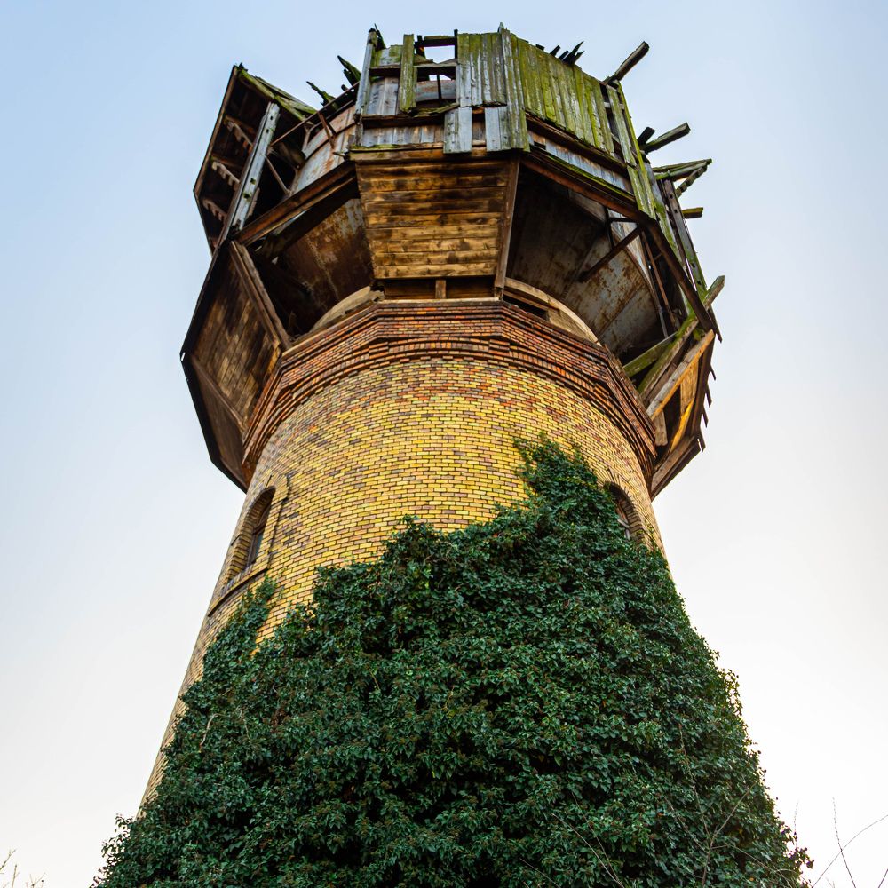 Фотография автора Minja Jovetic