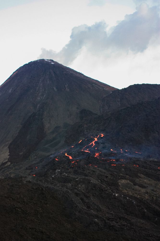 Фотография автора Марина Алексеевская