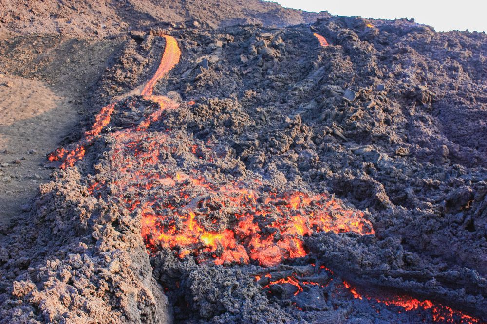 Фотография автора Марина Алексеевская