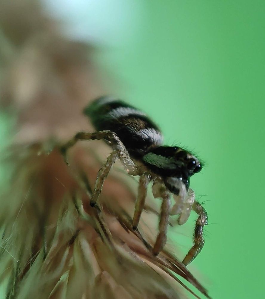 Фотография автора Марина Алексеевская