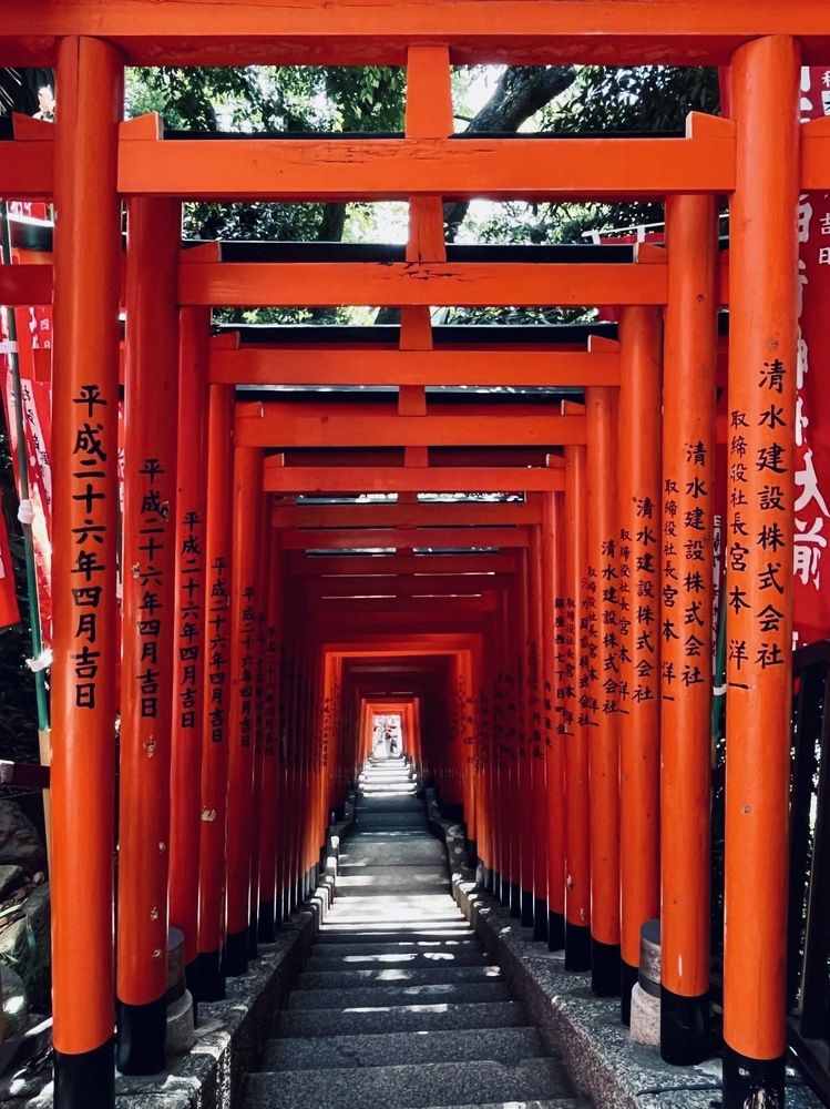 Фотография автора Liudmila Kiermeier