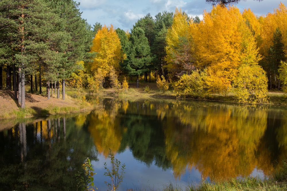 Photograph by Ivan Nustrov