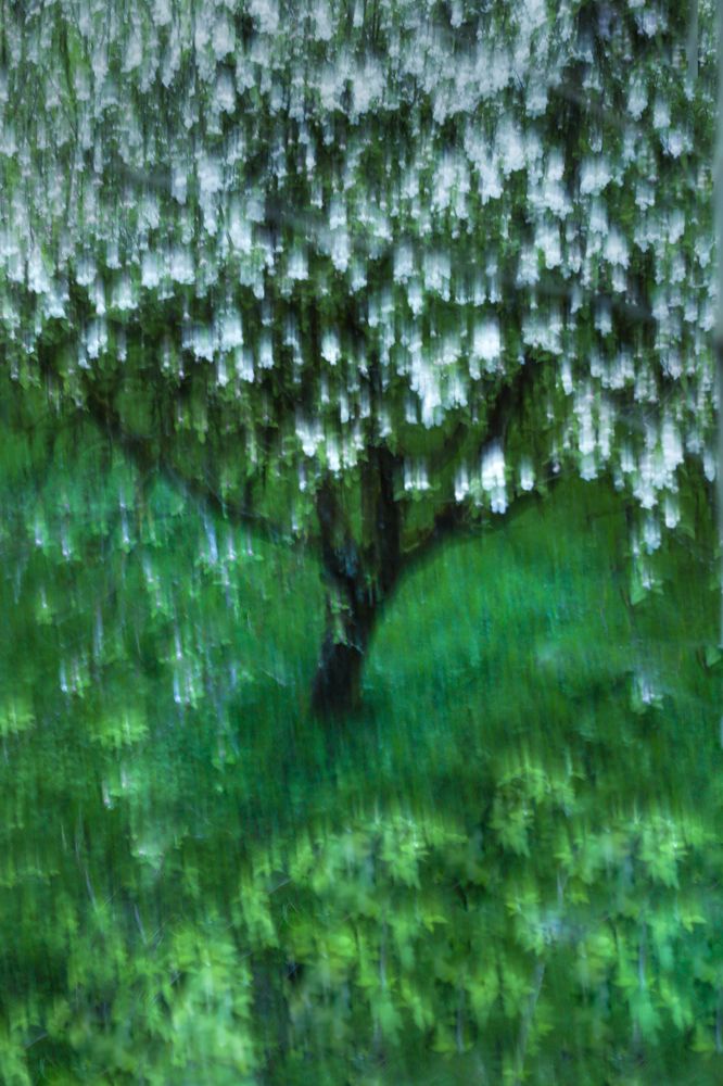 Photograph by Ксения Лаевская