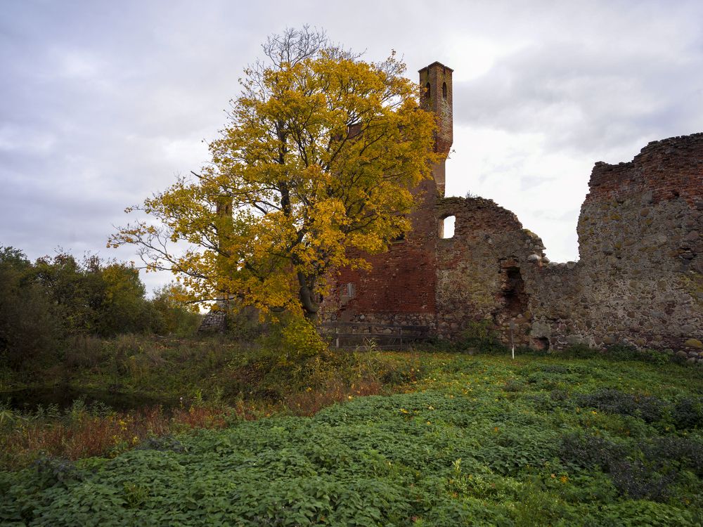 Photograph by Александр Журавлев