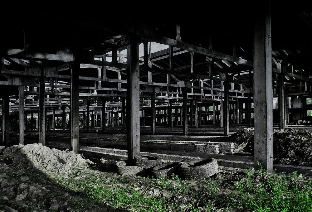 Photograph by Lana Cardi