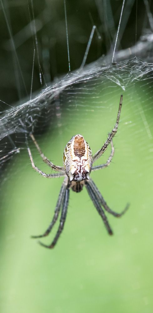 Фотография автора Dipayan Debbarma