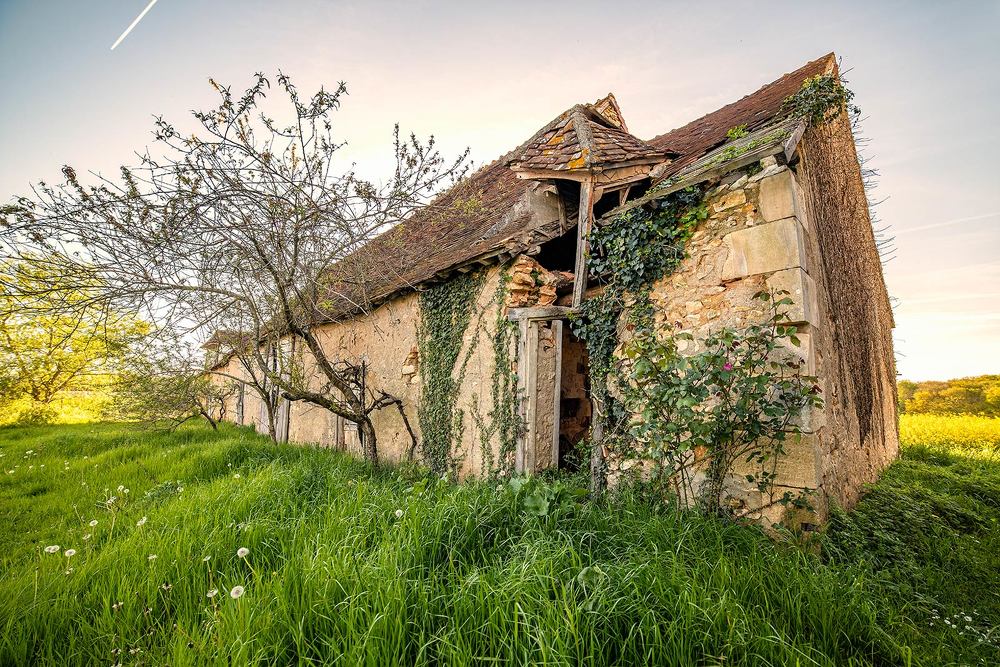 Photograph by Victor Ninestrong