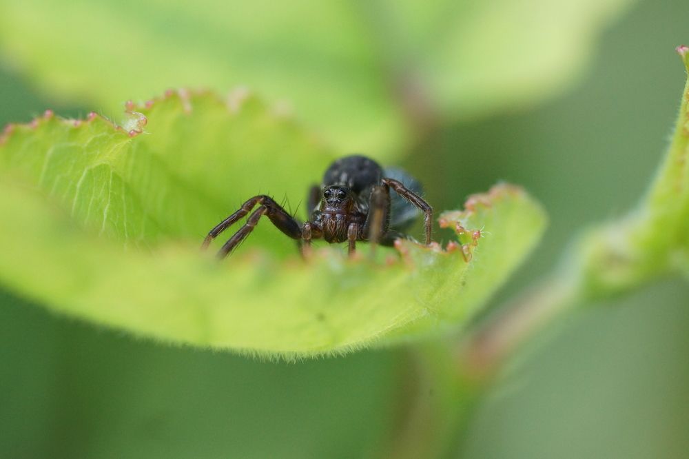 Photograph by Алексей Андреев