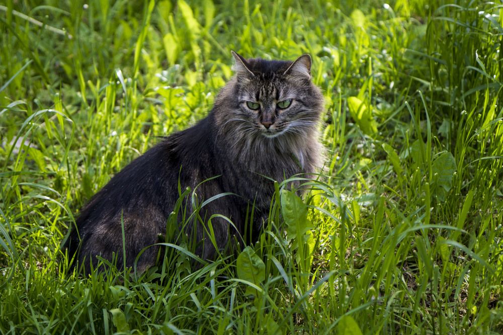 Photograph by Нестеренко Светлана