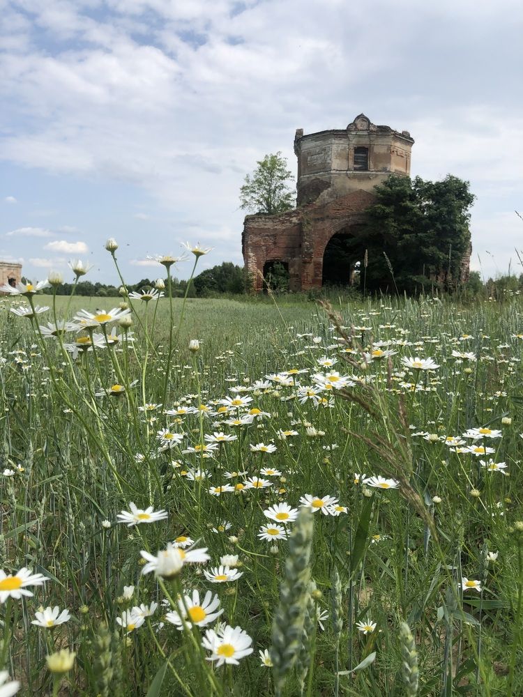 Photograph by Halina Mitsevich