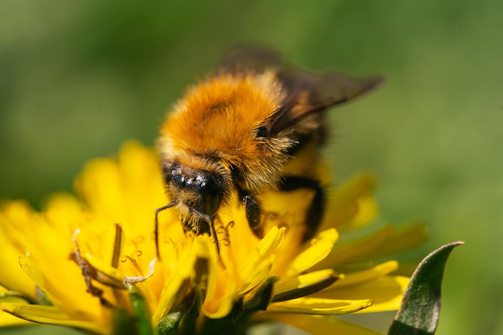 Photograph by Ольга Таланцева