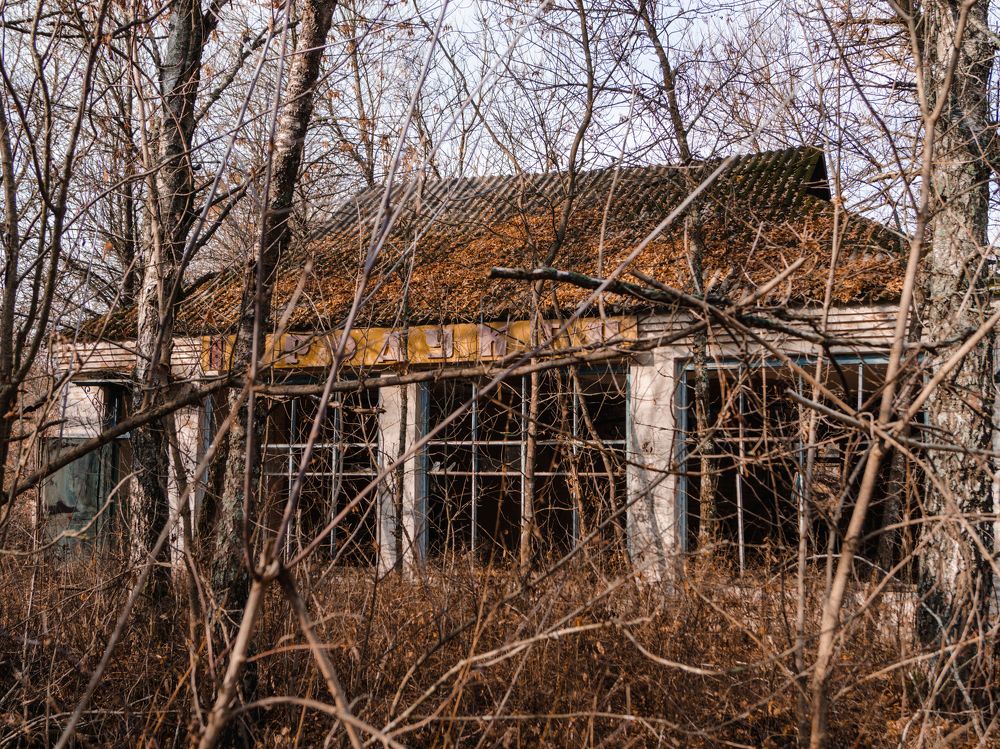 Photograph by Liudmila Kirillova