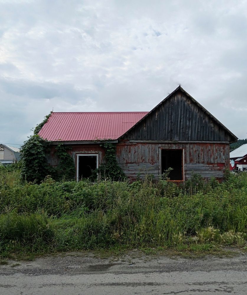 Photograph by Бальзирова Наталья