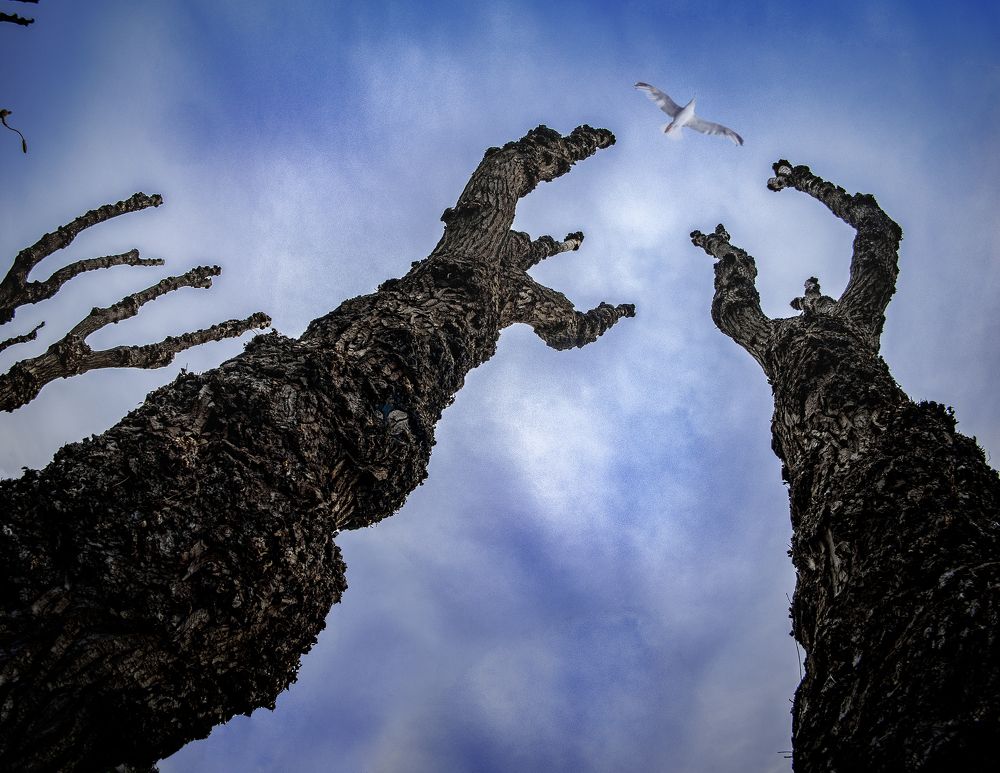 Photograph by Иван Труфанов