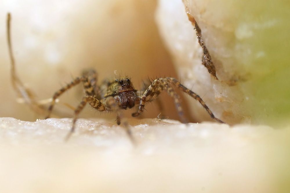 Photograph by Алексей Андреев