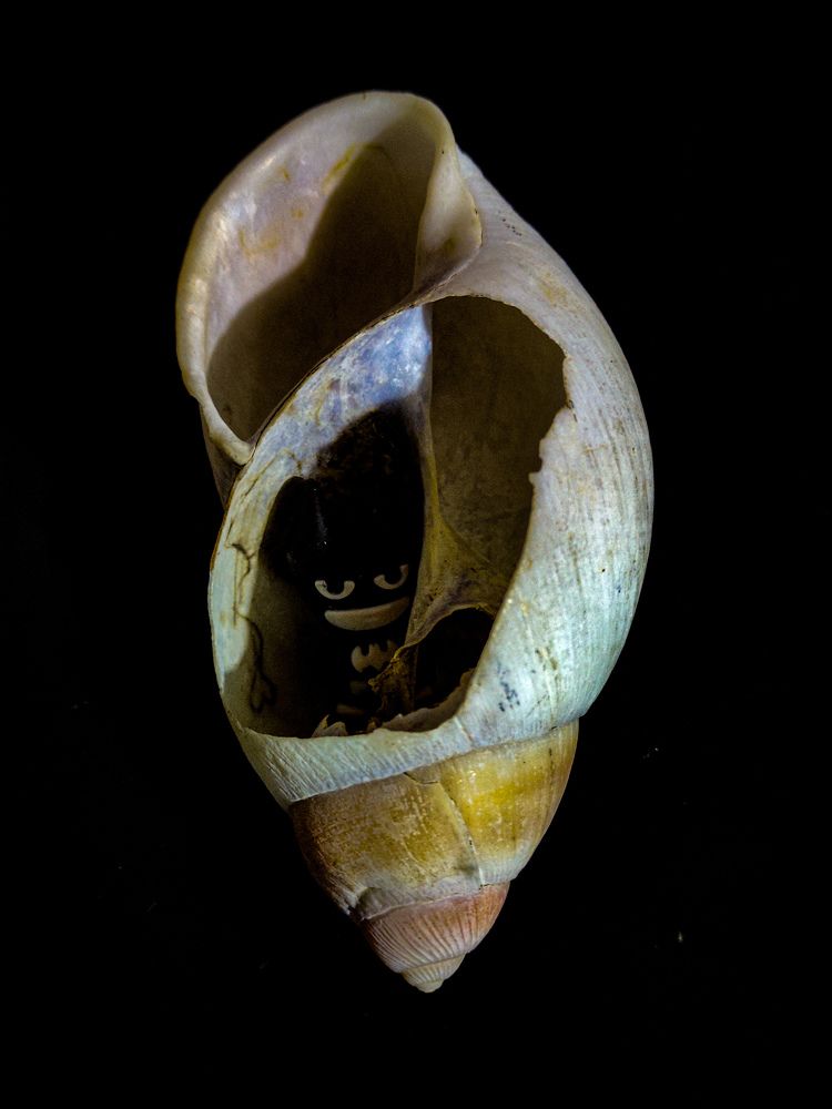 Photograph by Abimael Veliz salvatierra