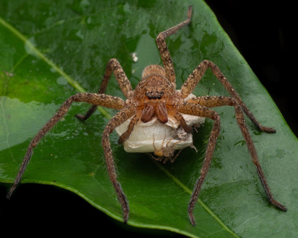 Photograph by Manjunath S