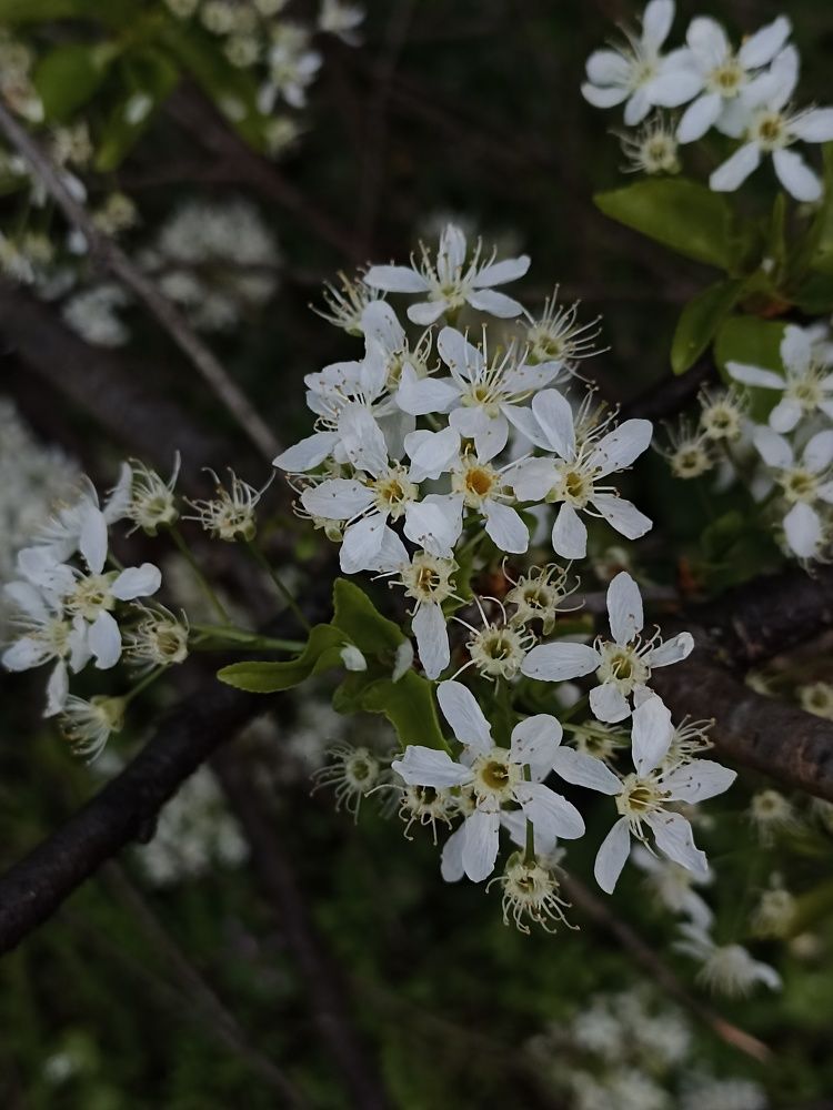 Photograph by Viktoryia М