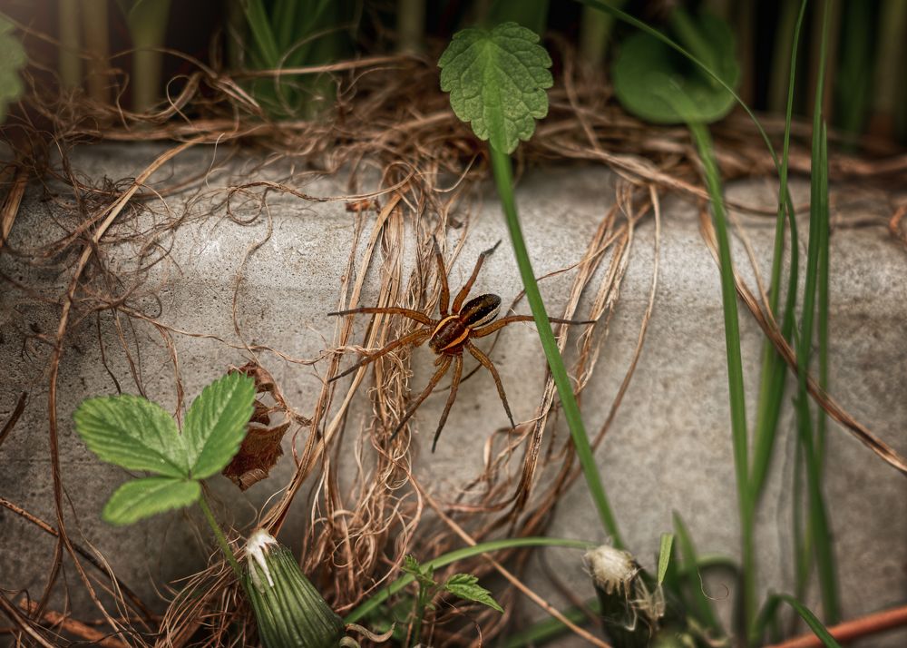 Photograph by Екатерина Каминская