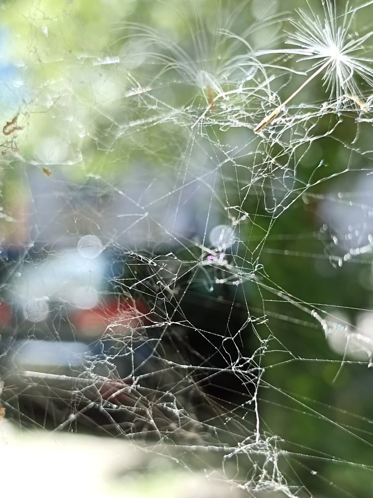 Photograph by Viktoryia М