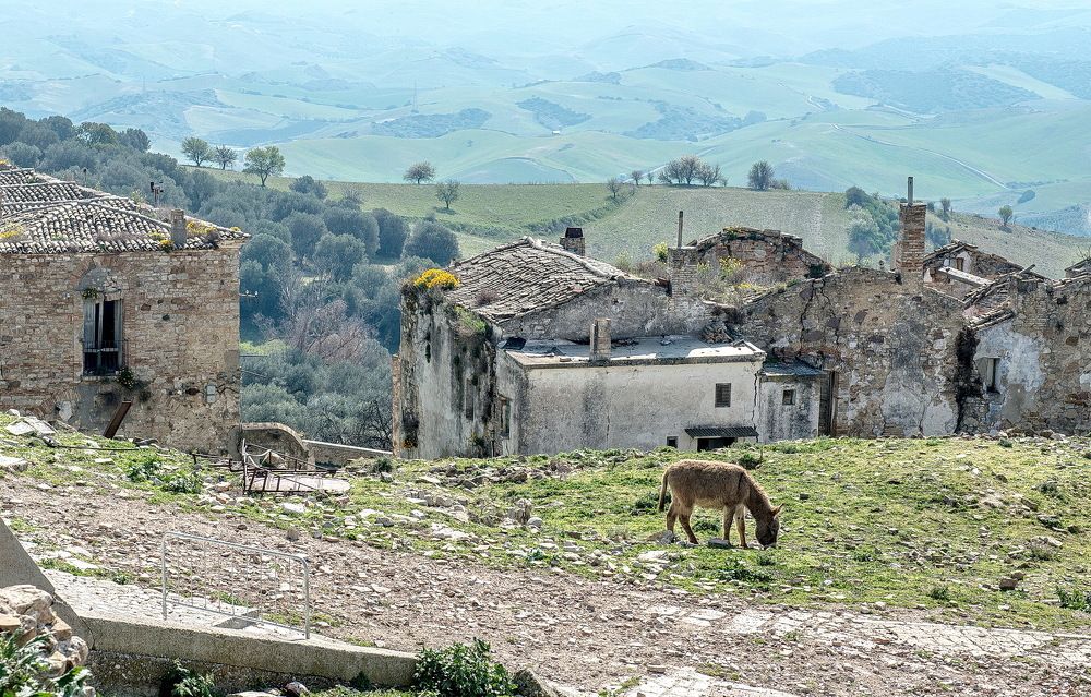 Photograph by Смирнов Валерий