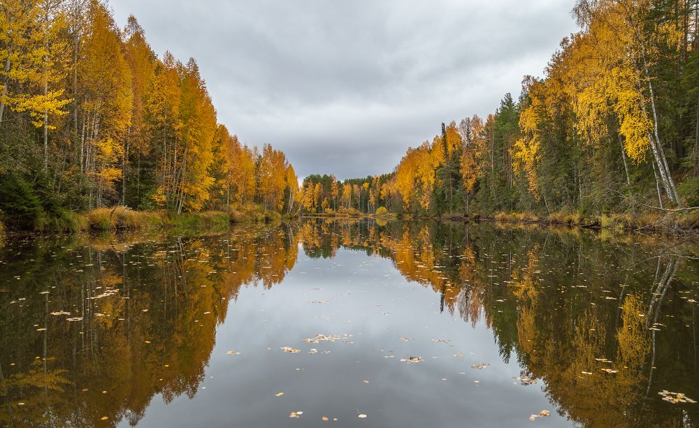 Фотография автора Шуплецов Алексей