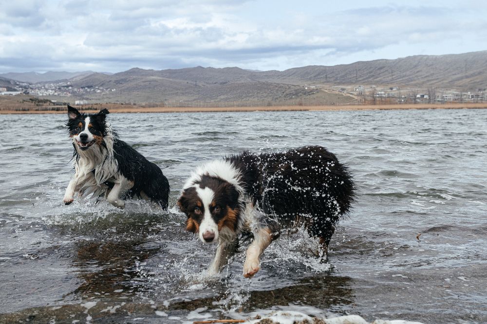 Фотография автора Саша Зуева