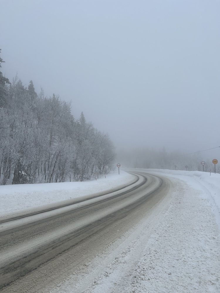 Photograph by Ксения Любченко