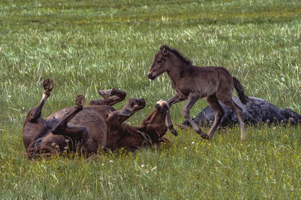 Фотография автора Андрей Жданов