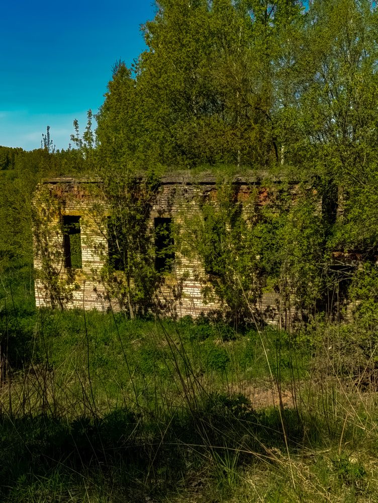 Photograph by Светлана Таркан