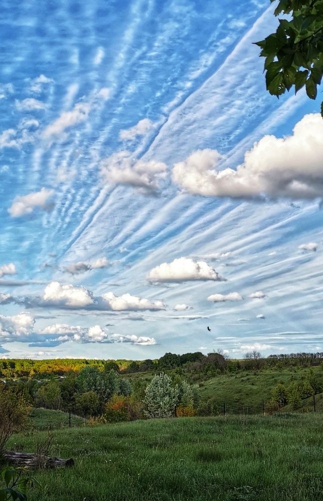 Photograph by Любовь Колмакова