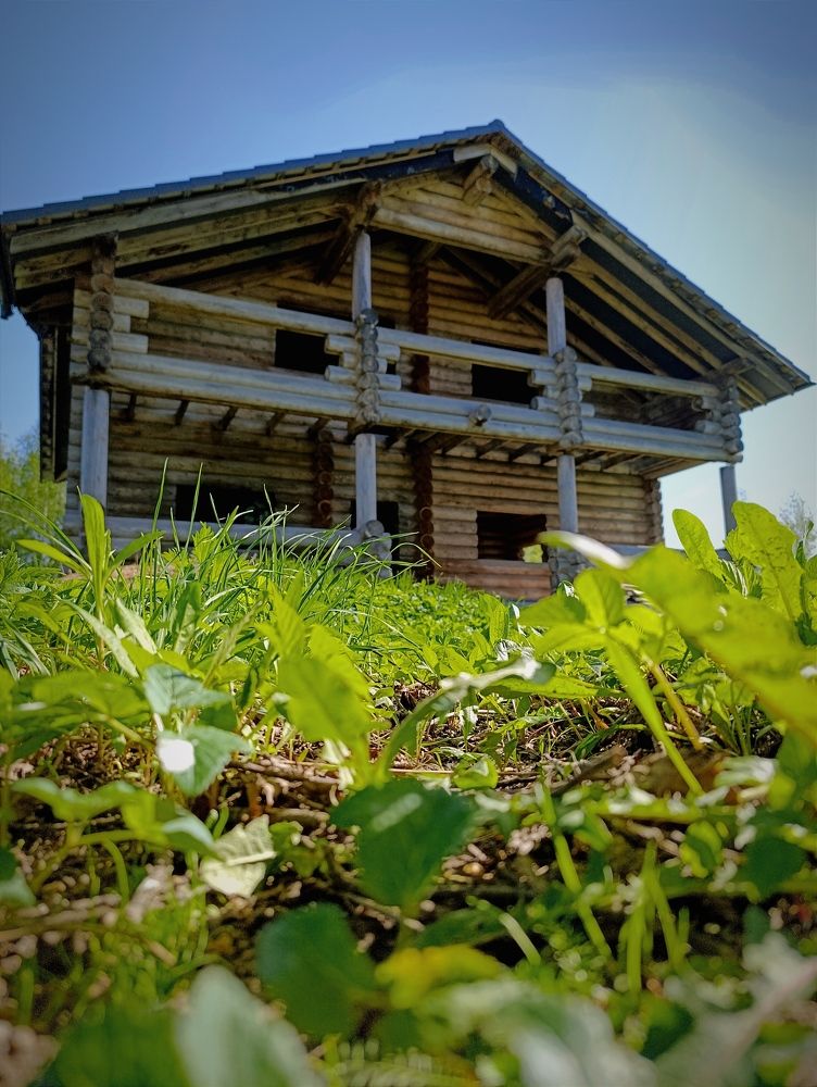 Photograph by Светлана Таркан