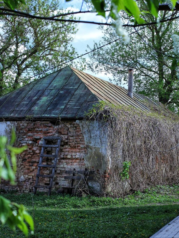 Photograph by Любовь Колмакова