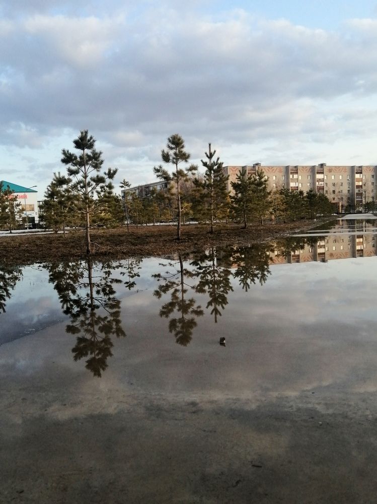 Photograph by Ольга Мокрова