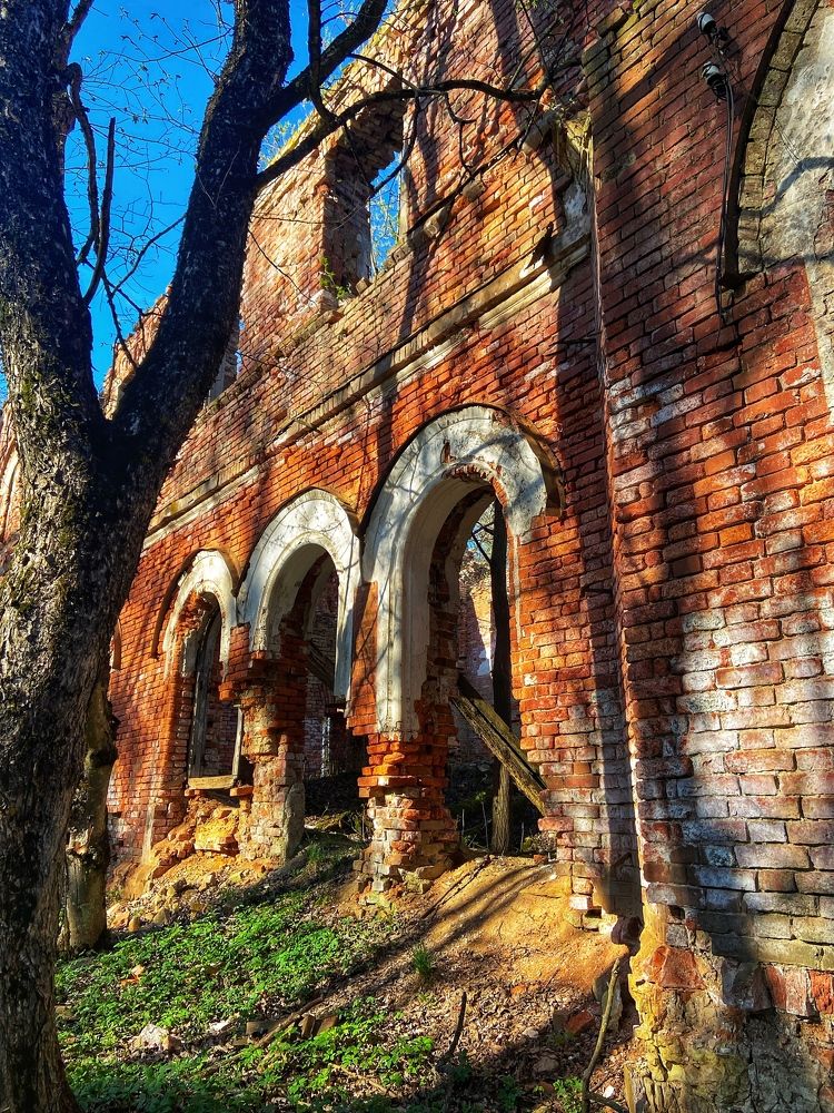 Photograph by Oksana Smorodina