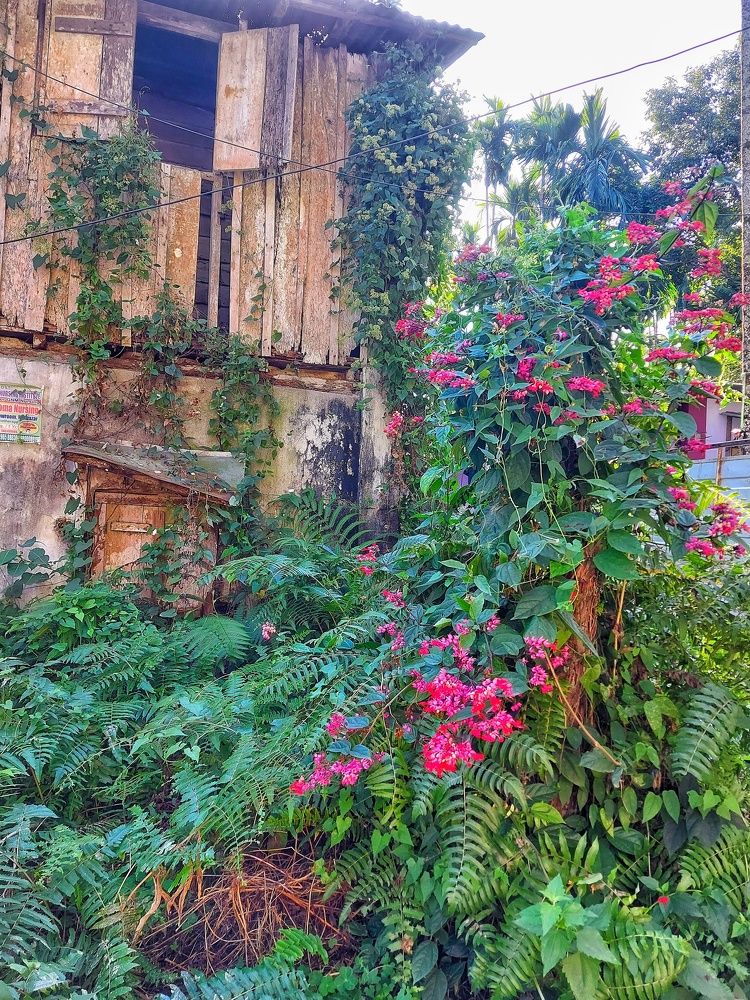 Photograph by Piyali Dutta