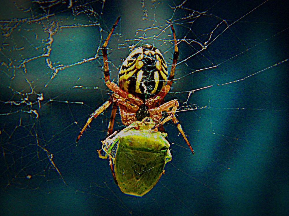 Photograph by Сергей Рапопорт