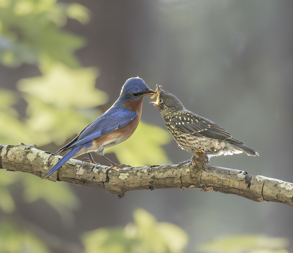 Photograph by Jackie Schletter