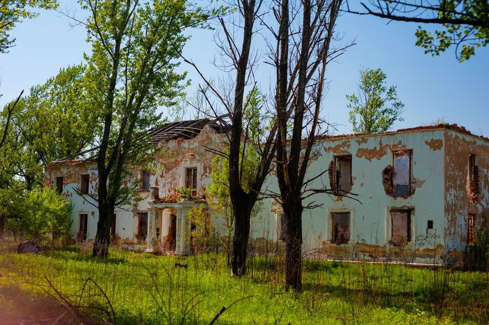 Фотография автора Дмитрий Старостин