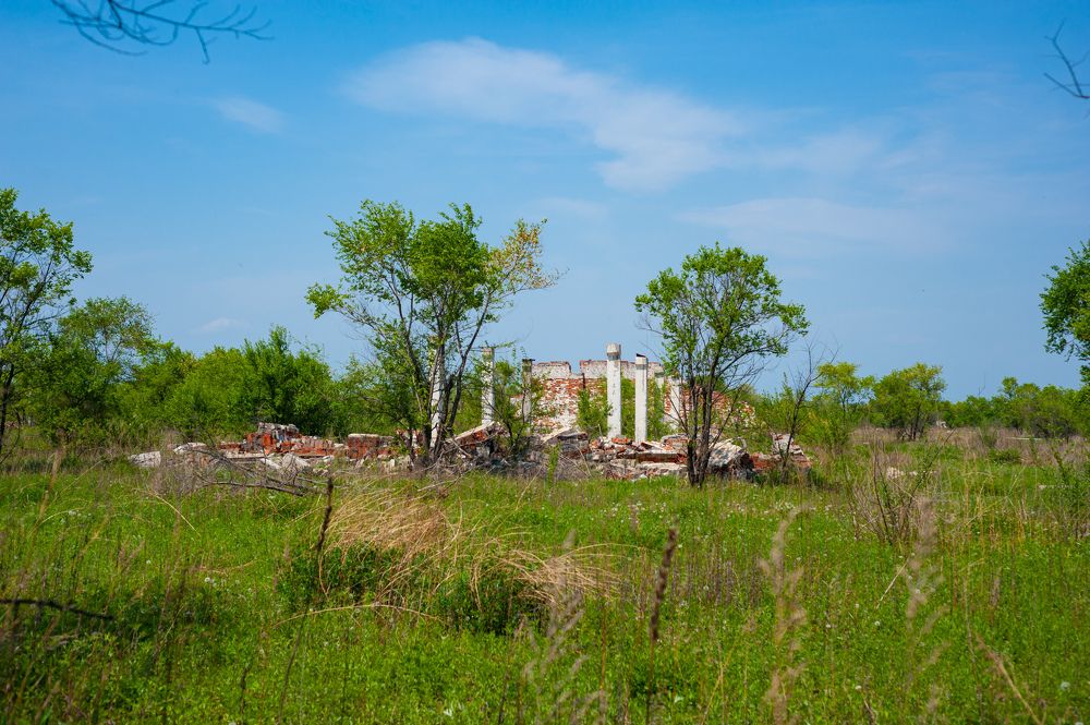 Фотография автора Дмитрий Старостин