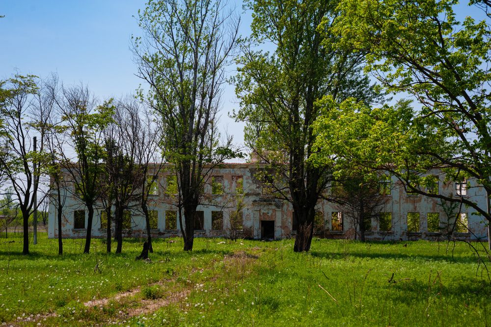 Фотография автора Дмитрий Старостин