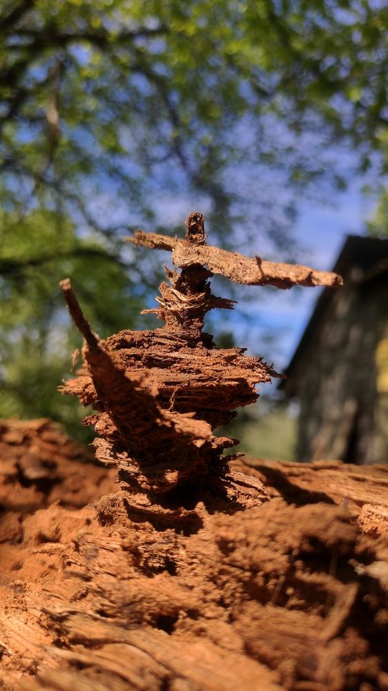 Фотография автора Юлия Шидловская