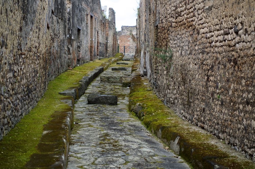 Фотография автора Андрей Неденко