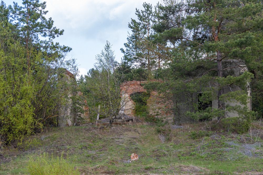 Photograph by Сергей Щербаков