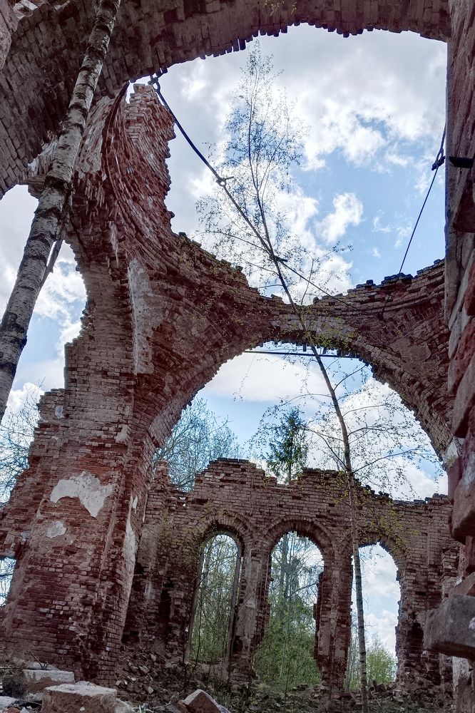 Фотография автора Larisa Meshkova