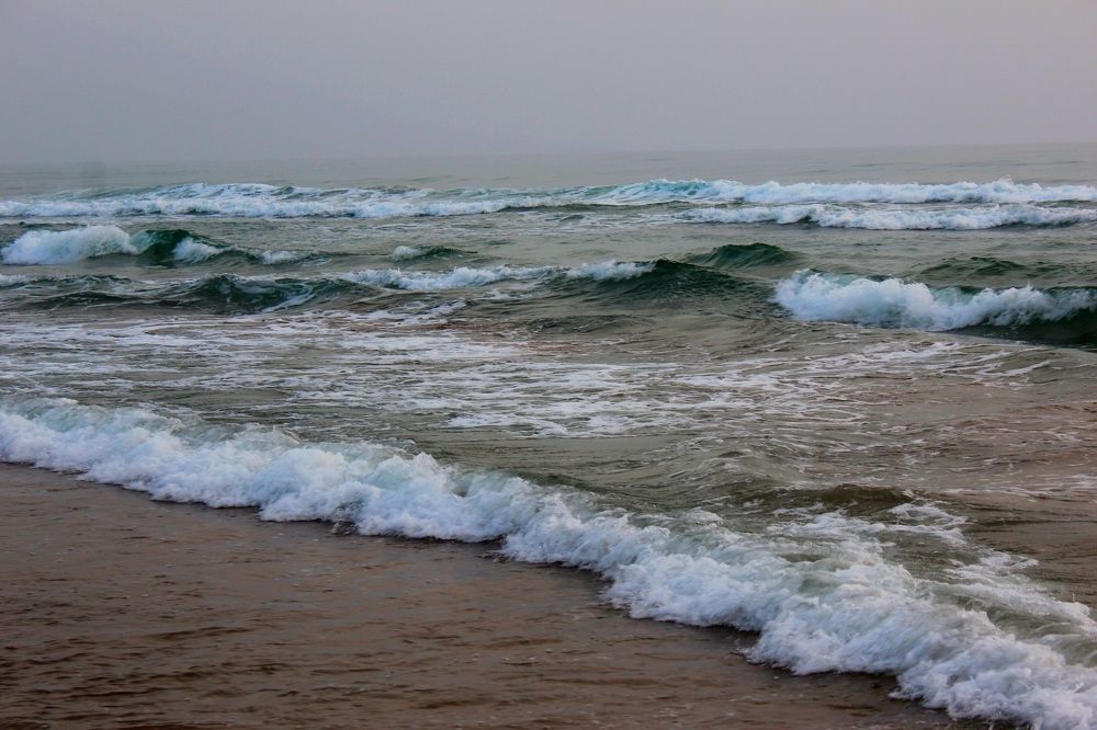 Photograph by Сергей Смоленцев