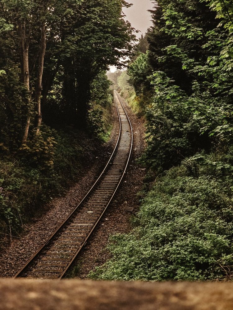 Фотография автора Elena Samusieva