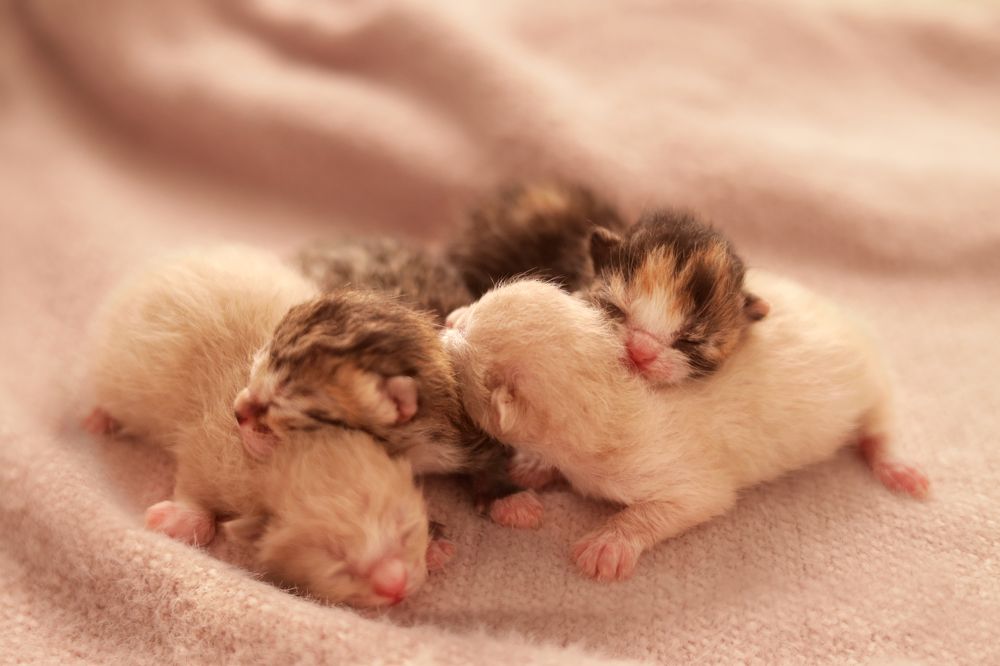 Photograph by Людмила Бойко