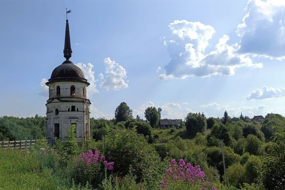 Фотография автора Larisa Meshkova